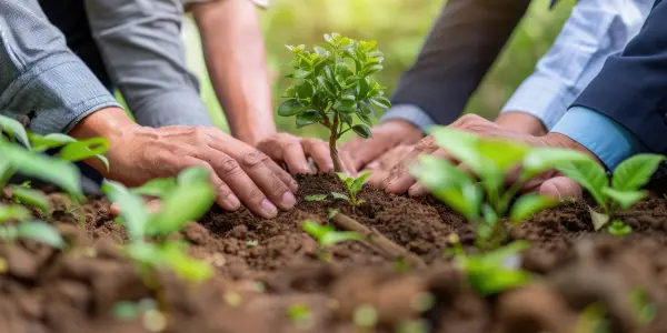 Nature thrives when it is supported, even in small ways.